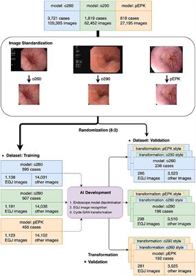 Reduced detection rate of artificial intelligence in images obtained from untrained endoscope models and improvement using domain adaptation algorithm